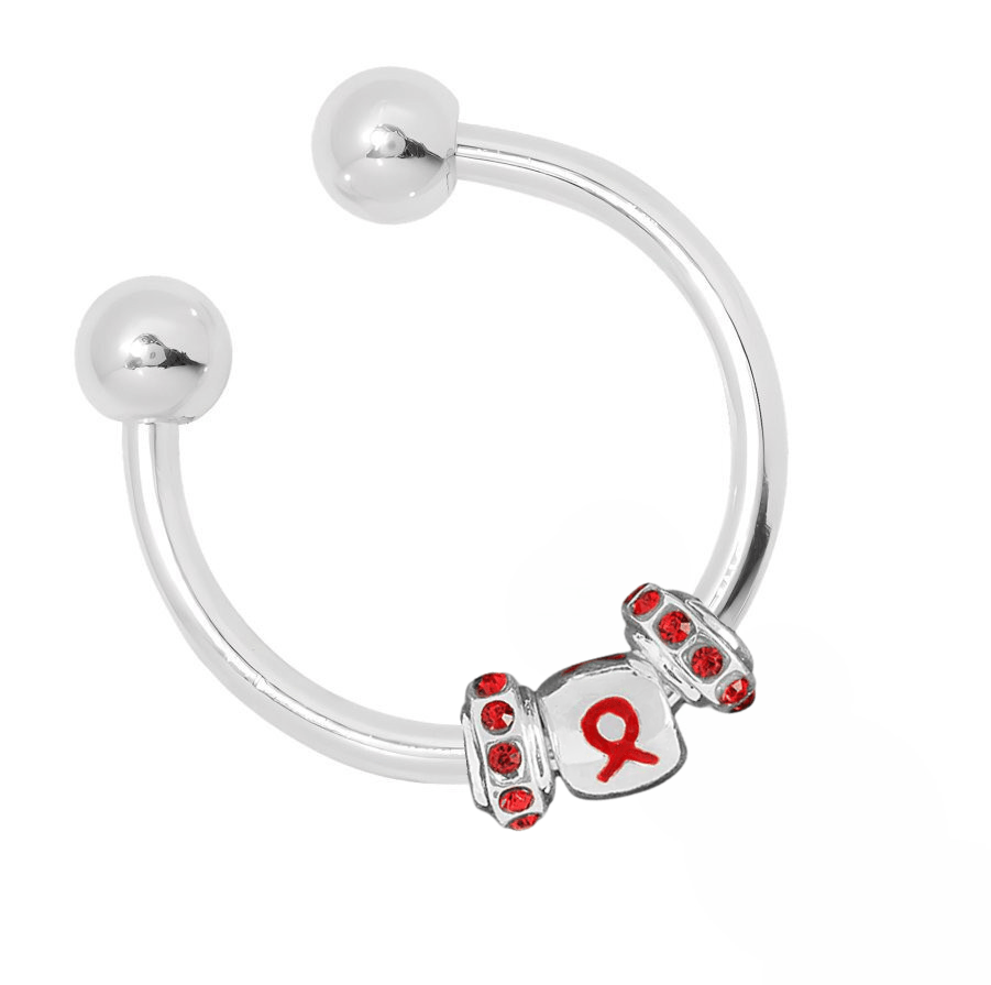Red Ribbon Key Chains - Fundraising For A Cause